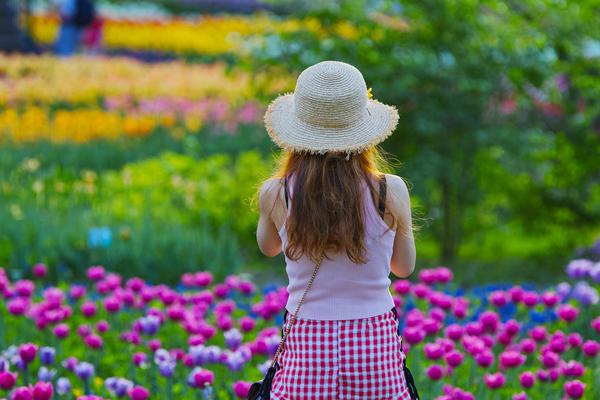 高<市>早苗表示上任后将提高日本防卫开支，外交部回应