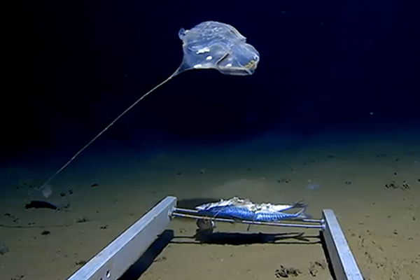 法‘国’pmi.数据超预期 欧元兑美元跌幅收窄