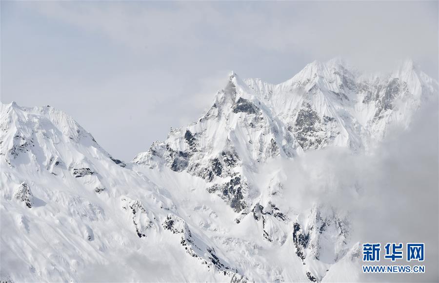盘后跌超3%！.英伟达二{季}度blackwell提速，数据中心稳居核心，为何股价还会跳水？（附q2财报详情）